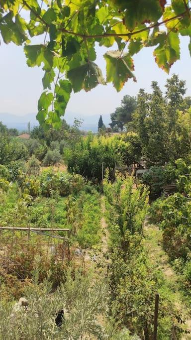 Engin Home Pamukkale Buitenkant foto